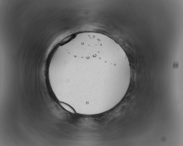 X0000100310244200807031153