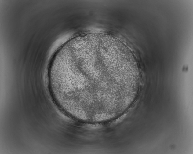 X0000100310245200807031153