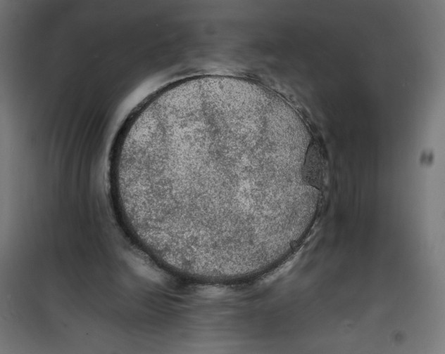 X0000100310246200807031153