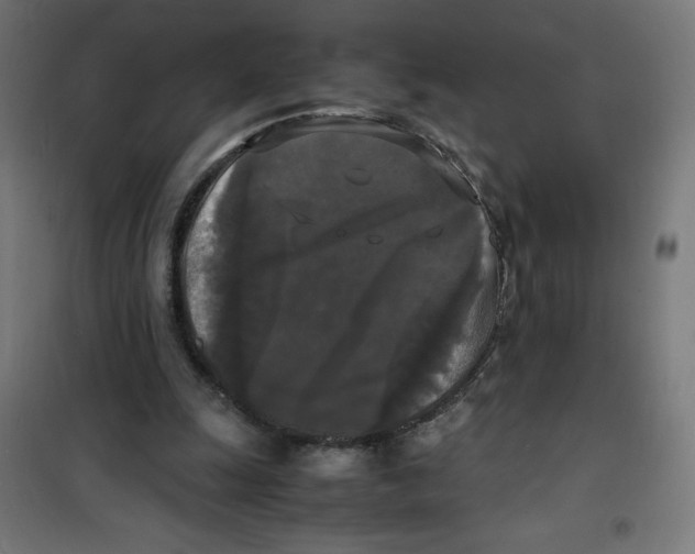 X0000100310247200807031153