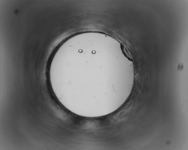 X0000100310248200807031153