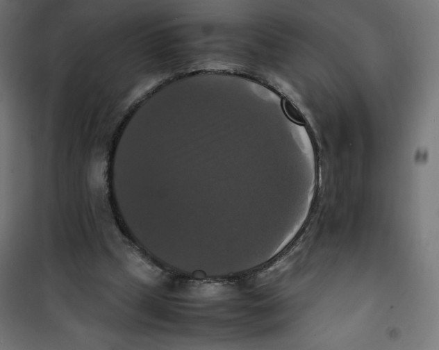 X0000100310249200807031153