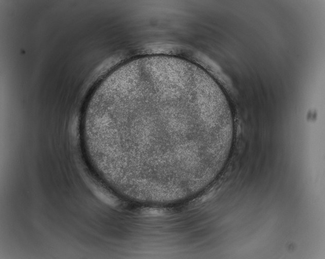 X0000100310250200807031153