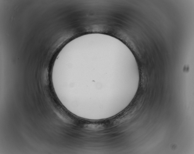 X0000100310251200807031153
