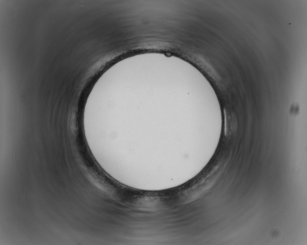 X0000100310252200807031153