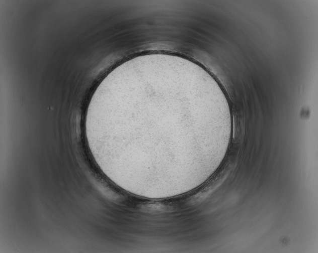 X0000100310253200807031154