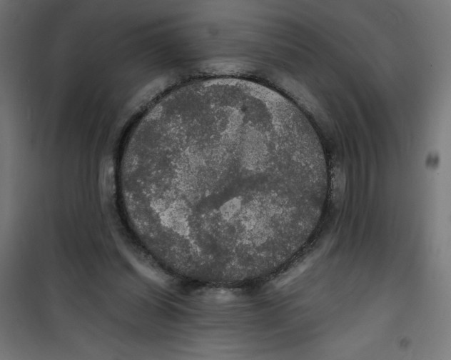 X0000100310254200807031154
