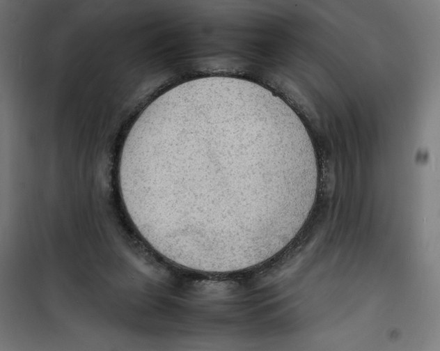 X0000100310255200807031154