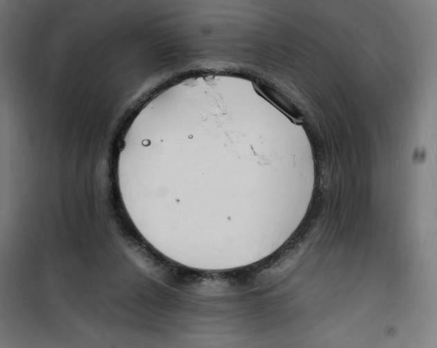 X0000100310256200807031154