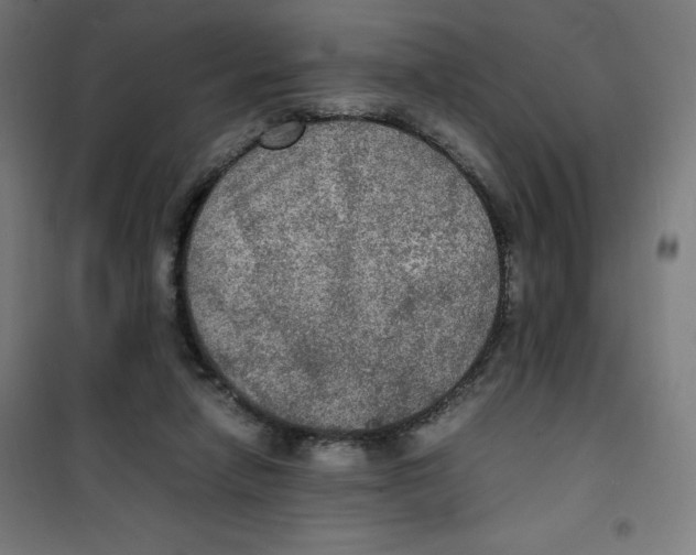 X0000100310258200807031154