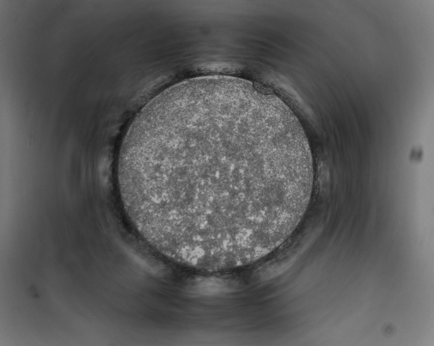 X0000100310259200807031154