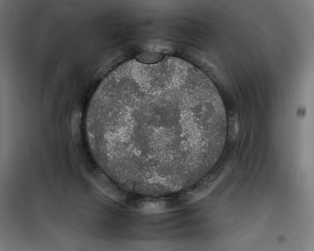 X0000100310263200807031154