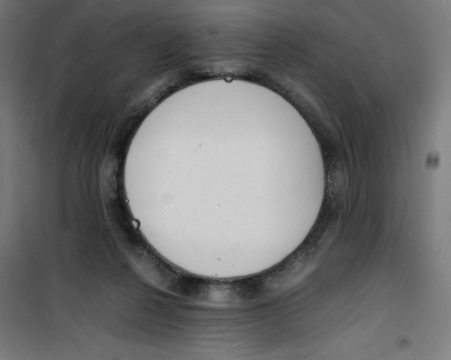 X0000100310264200807031154