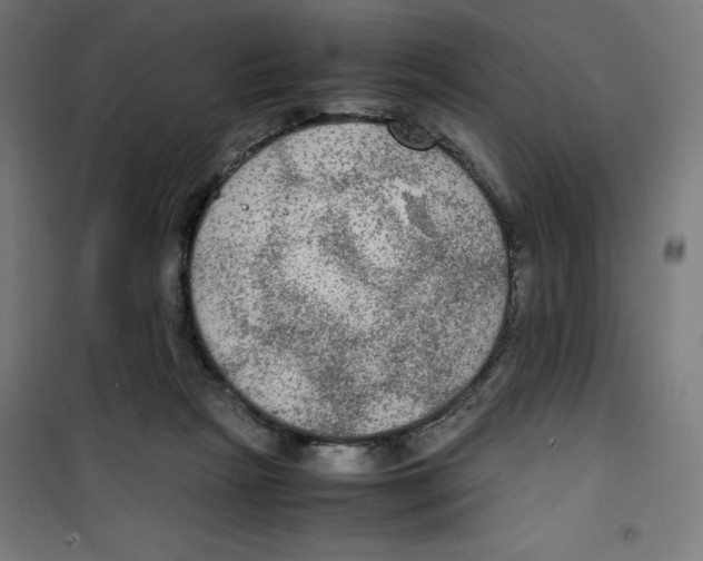 X0000100310265200807031154
