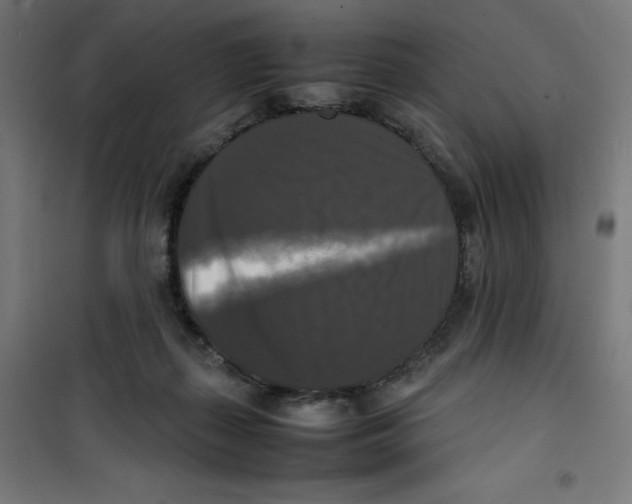 X0000100310267200807031154