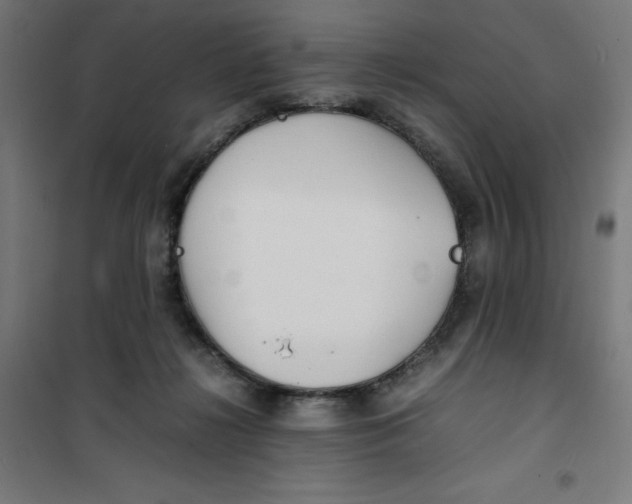 X0000100310268200807031154
