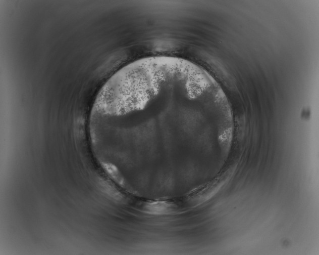 X0000100310269200807031154