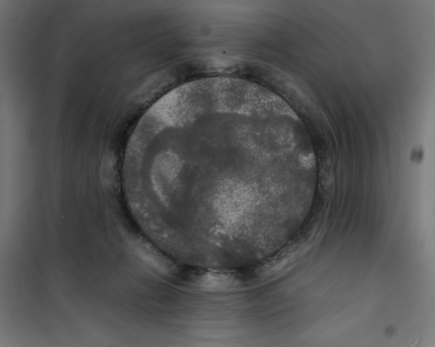 X0000100310270200807031154