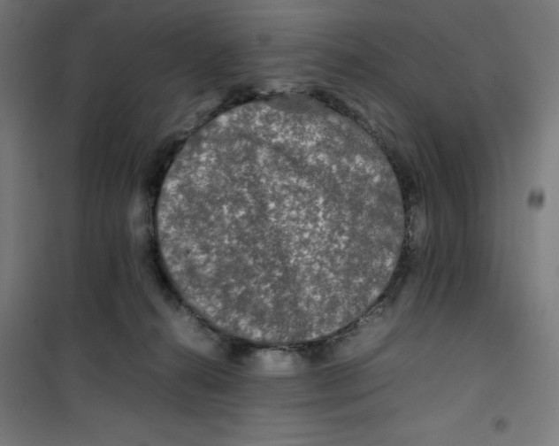 X0000100310272200807031154