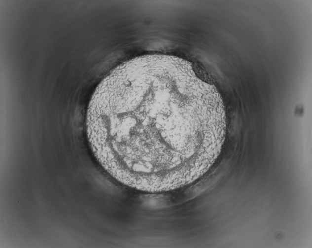 X0000100310273200807031154