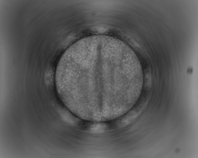X0000100310274200807031154