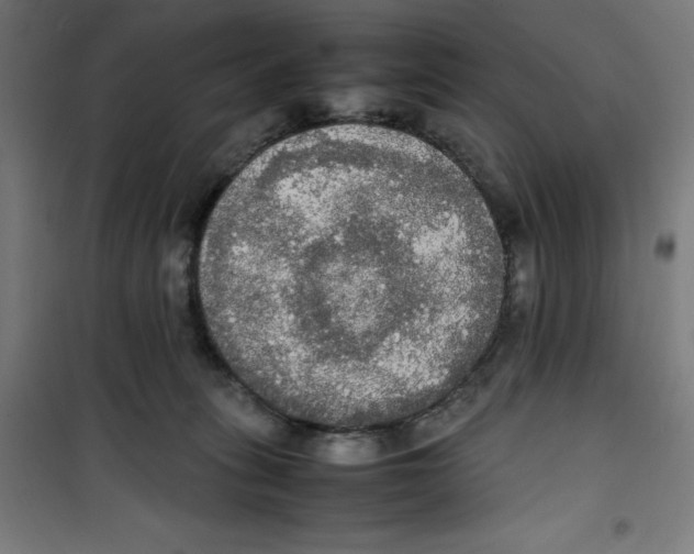 X0000100310275200807031154