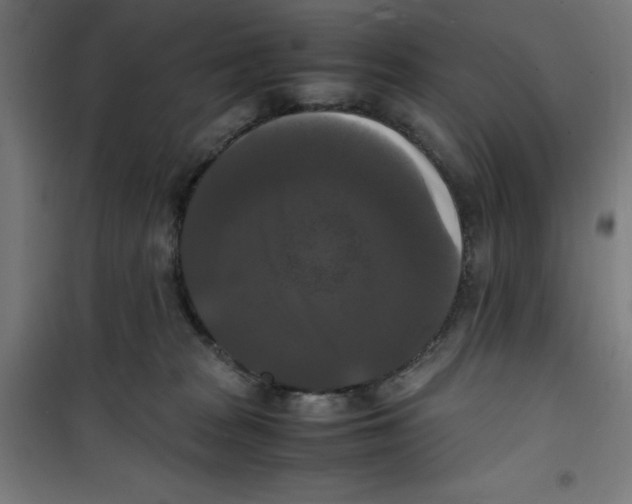 X0000100310277200807031154