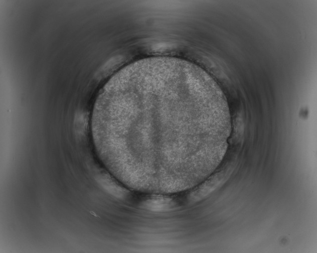 X0000100310278200807031154