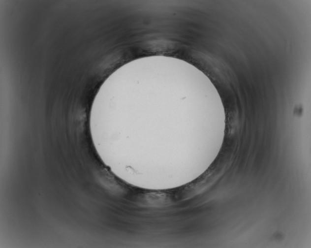 X0000100310279200807031154