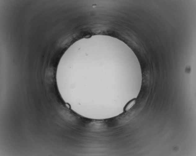 X0000100310280200807031154