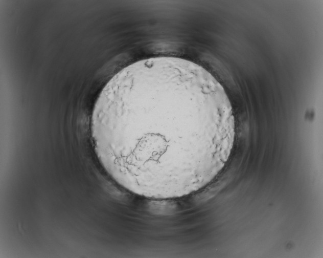 X0000100310281200807031154