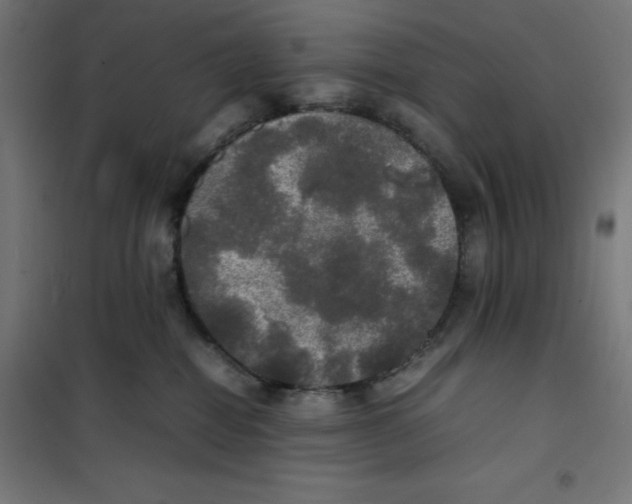X0000100310282200807031154