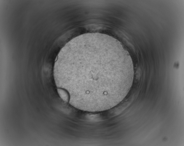 X0000100310283200807031154