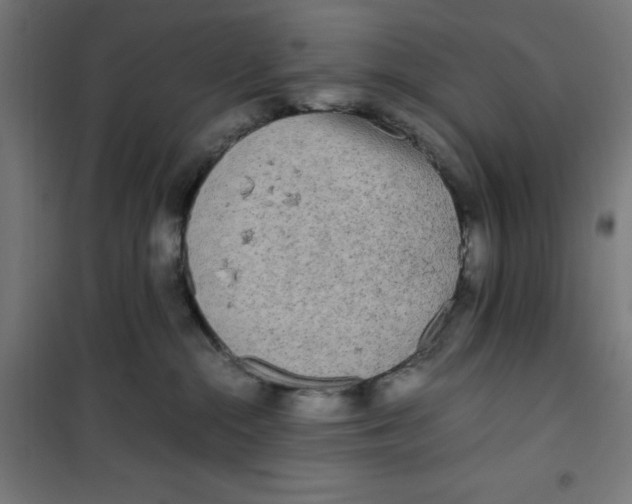 X0000100310284200807031154