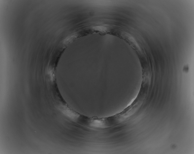 X0000100310285200807031154