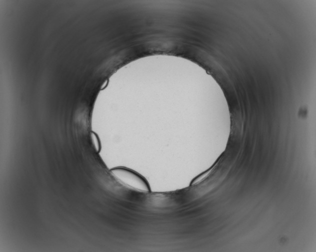 X0000100310287200807031154