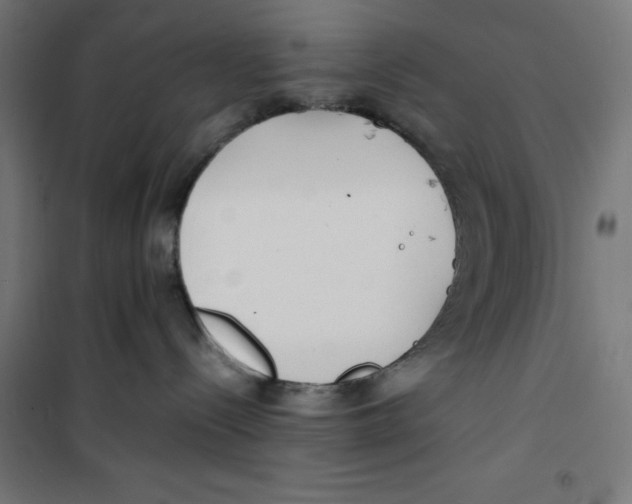 X0000100310288200807031154