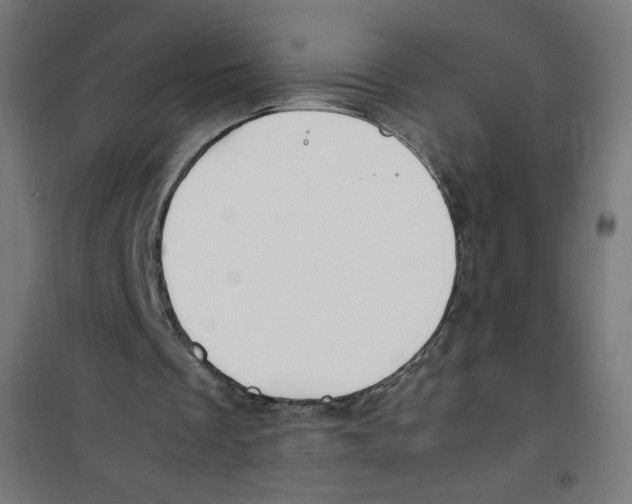 X0000100310289200807031153