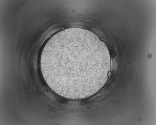 X0000100310291200807031153