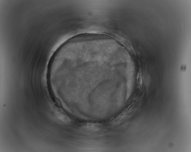 X0000100310292200807031153
