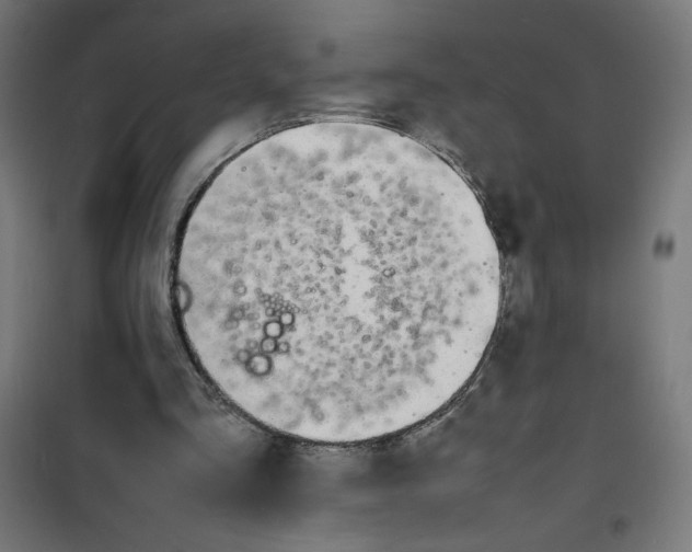 X0000100310293200807031153