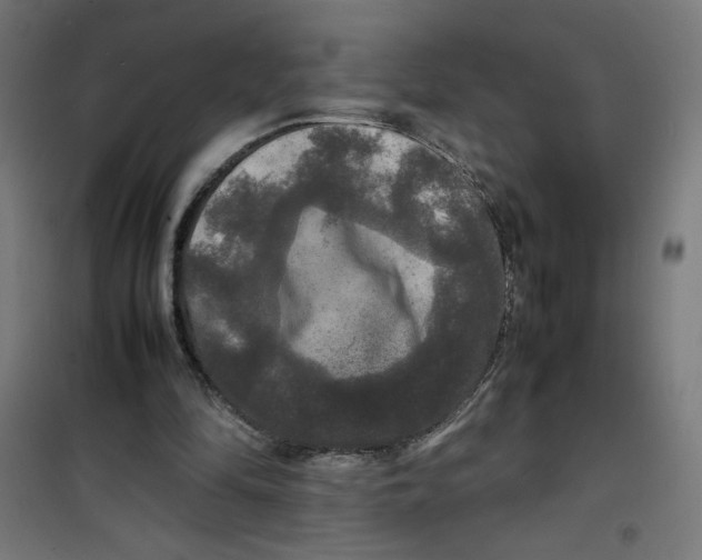 X0000100310294200807031153