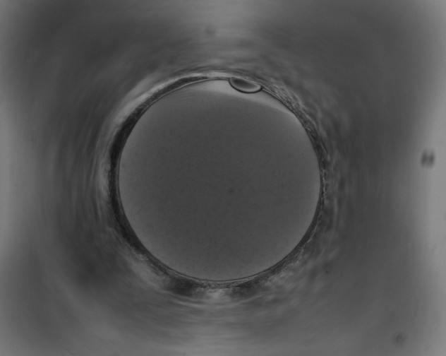 X0000100310295200807031153