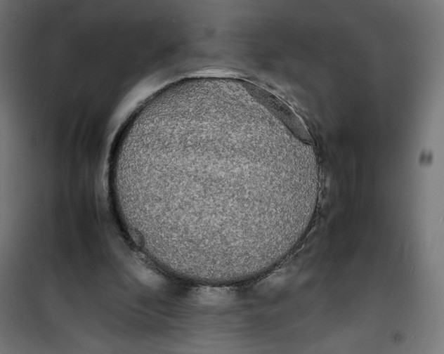 X0000100310296200807031153