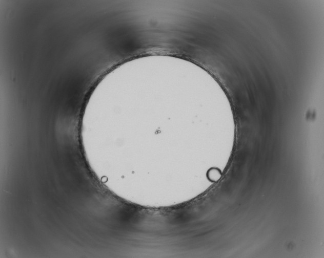 X0000100310297200807031153
