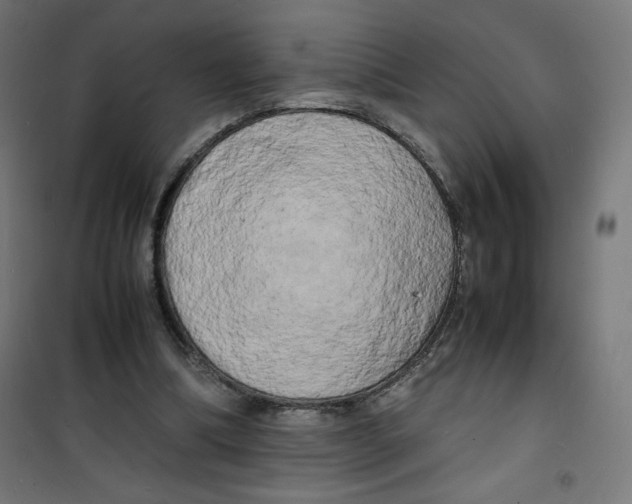 X0000100310298200807031153