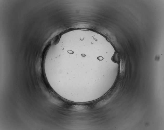 X0000100310300200807031153