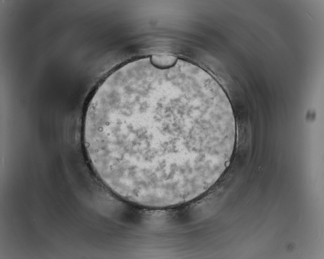 X0000100310301200807031153