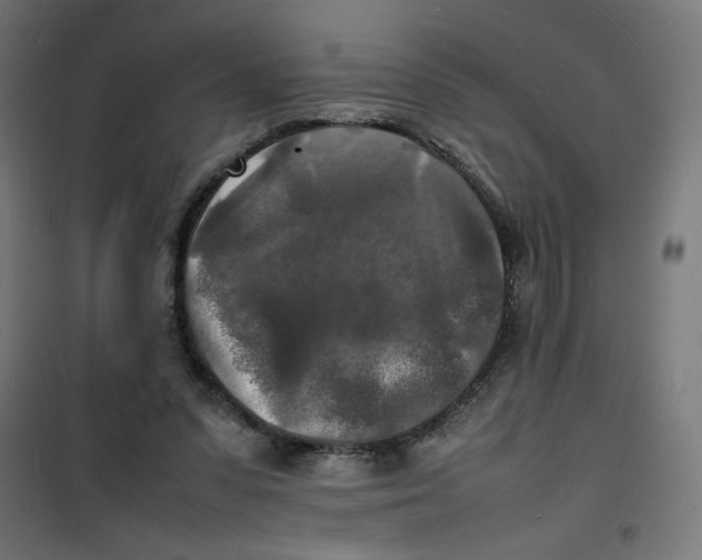 X0000100310303200807031153
