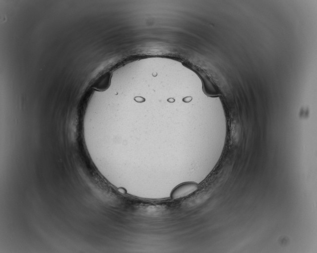 X0000100310304200807031153